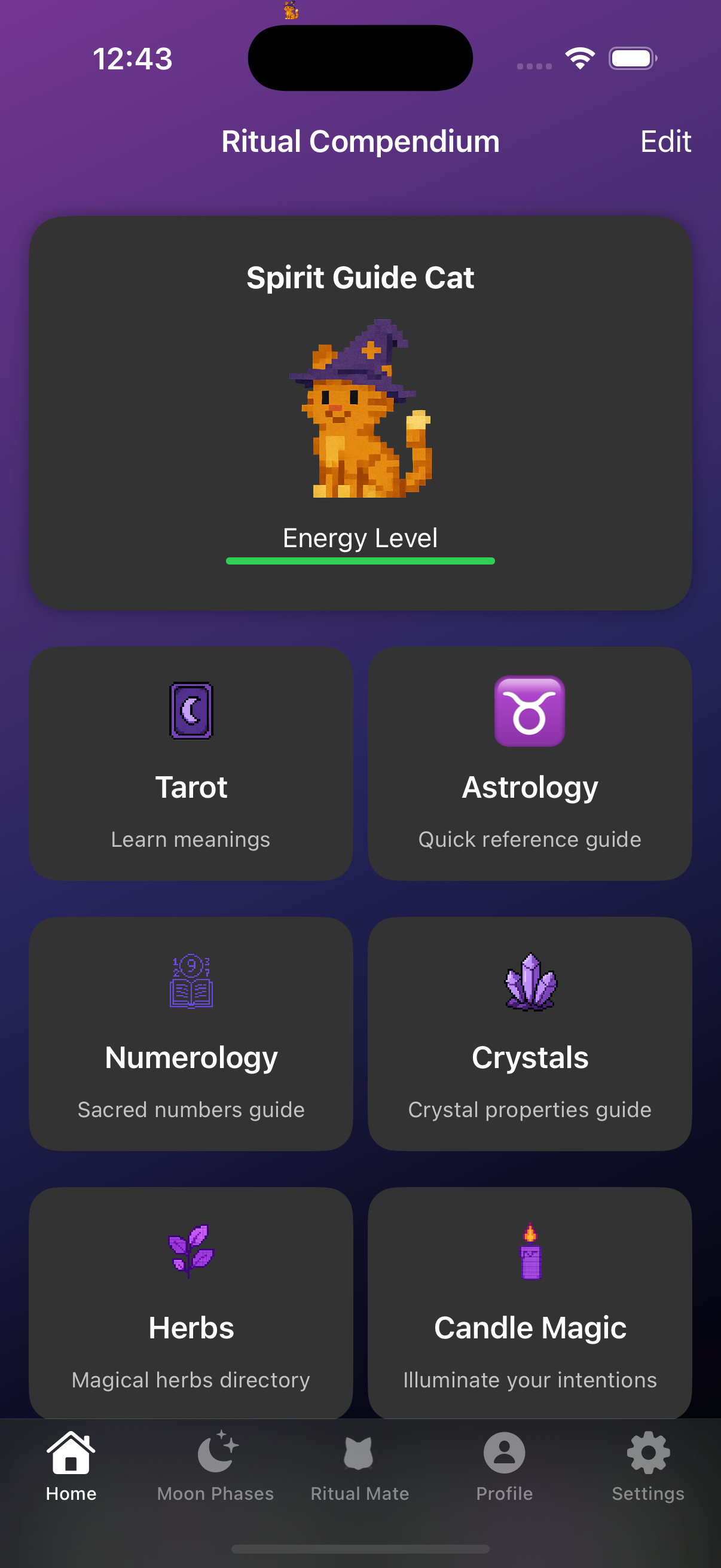 RitualMate App - Ritual Compendium with Spirit Guide Cat